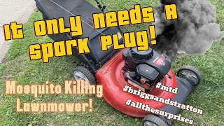 I Was Told It Only Needs A Spark Plug doesnotrun blowssmoke mtd lawnmower [upl. by Agostino]