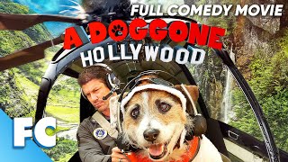 A Doggone Hollywood  Full Comedy Adventure Dog Movie  Free HD Animal Film  FC [upl. by Zorah]