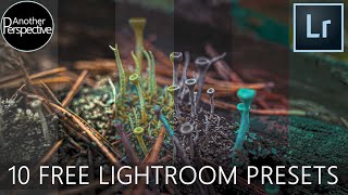 TOP 10 FREE LIGHTROOM PRESETS  Free Download  How to Install Preset in Lightroom [upl. by Perla318]