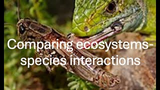 Comparing ecosystems  species interactions [upl. by Seligmann460]