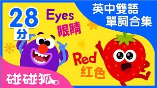 英中雙語 單詞合集兒歌合集  Learn Chinese and English together  碰碰狐PINKFONG  兒童兒歌 [upl. by Ojok]