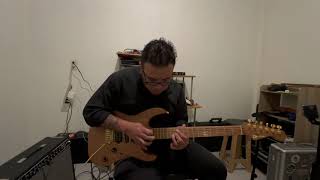 Fives Guthrie Govan cover [upl. by Elora]