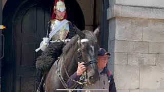 POLICE INCIDENT Horse Guards Closed [upl. by Etteb531]