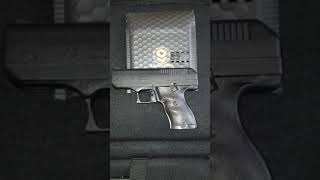 HiPoint Pistols Optics Picatinny Rail [upl. by Nioe]