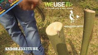 Innesto a triangolo su castagno selvatico parte 4 di 5  Tecniche di innesto su alberi da frutto [upl. by Vita]