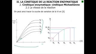 II 2 1 1 Vitesse de la réaction enzymatique [upl. by Euhc644]