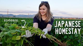 My Japanese Farm Homestay Experience 🌾 [upl. by Llenal]