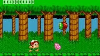 Adventure Island Classic Gameplay – Can You Survive the Island 🌴🎮 [upl. by Etnauq]