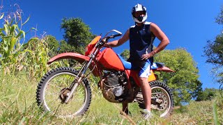 30 Year Old Dirt Bike Runs Like A Champ  1985 Honda XR200R [upl. by Favrot]