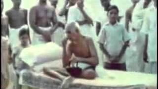 Talks on Sri Ramana Maharshi Narrated by David Godman  SelfEnquiry [upl. by Weisler]