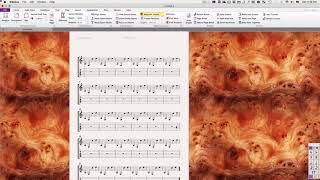 Change notation size in Sibelius [upl. by Jackquelin]