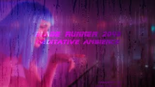 Blade Runner 2049 Meditative Ambience [upl. by Orgalim980]