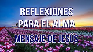 REFLEXIONES PARA EL ALMA  MENSAJE DE JESÚS [upl. by Lleznod]