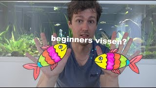 Welke beginners vis moet je Aquarium vissen voor iedereen 8 [upl. by Assiluy]