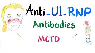 AntiU1Ribonucleoprotein AntiU1RNP autoantibodies [upl. by Enoch]