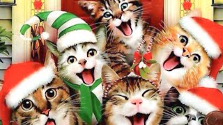 Adorables GATOS Navideños 🎄 Feliz NAVIDAD 😻 [upl. by Stanfield]