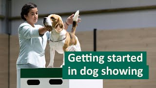 How to get started in Dog Showing [upl. by Hemminger539]