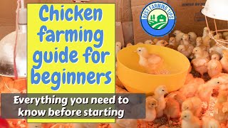 Chicken farming guide for beginners Everything you need to know before starting [upl. by Nylaj]