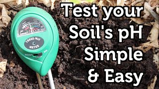 How to Measure your Soil pH Cheap and Easy [upl. by Eitra]