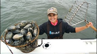 Coastal Foraging for Clam Dinner CATCH and COOK [upl. by Hammad639]