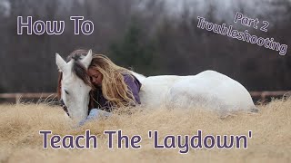 How To Teach Your Horse The Laydown Part 2 Problem SolvingBreaking it Down [upl. by Florine525]