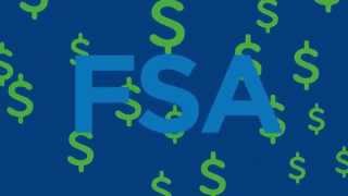 Flexible Spending Accounts FSAs [upl. by Kannan]