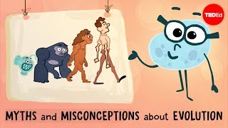 Myths and misconceptions about evolution  Alex Gendler [upl. by Arakahs628]