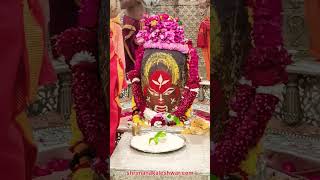 प्रातः 0730 बालभोग आरती दर्शन 05112024 मंगलवार महाकाल मंदिर उज्जैन Shri Mahakaleshwar Ujjain [upl. by Yregerg]