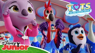 Magical Moment Rock a Bye Birdie  Property  Disney Junior Africa [upl. by Arraik]