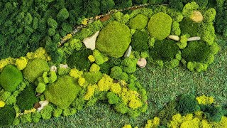 Build your own moss wall art [upl. by Inaja131]