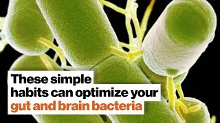 How to optimize your gut and brain bacteria  Dave Asprey  Big Think [upl. by Salter]