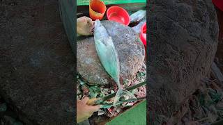 Wow Skipjack tuna fish cutting skills 🔥 shorts tunacutting [upl. by Moss]