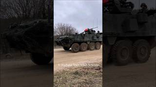 Stryker und M 113 Allied Spirit 2024 [upl. by Raddi]