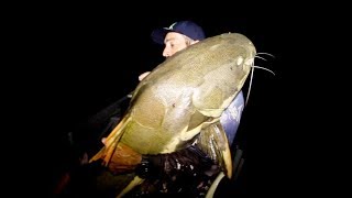 MONSTRO DO RIO PIRARARA 60KG PIRAIBA GIGANTE NO RIO ARAGUAIA EXCURSAO ASA BRANCA [upl. by Kravits832]