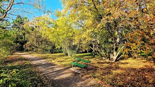 Herbststimmung im Arboretum des Botanischen Gartens Greifswald [upl. by Onaicul838]