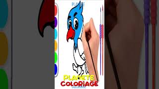 Dessiner et colorier Un Oiseau  How to Draw and Color a Bird [upl. by Jodi361]