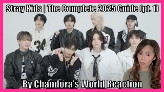 Reacting to THE COMPLETE 2025 GUIDE TO STRAY KIDS by Chandoras World pt 1 [upl. by Jangro]