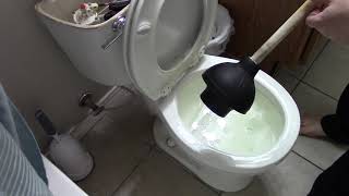 How To Plunge A Toilet [upl. by Nilloc]