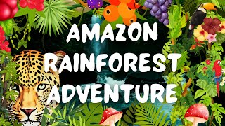 Amazon Rainforest Adventure The Most Diverse Ecosystem on Earth [upl. by Rodama]