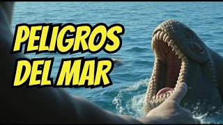 Los animales Más PELIGROSOS Del mar [upl. by Mills484]