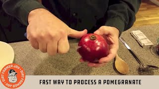 Fast Way to Process a Pomegranate [upl. by Tabshey299]