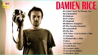 Damien Rices Greatest Hits  Best Songs Of Damien Rices [upl. by Ahsenak]