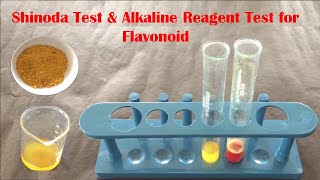 Phytochemical Test for Flavonoid  Qualitative Test for Flavonoid  फ्लावोनोइड टेस्ट कैसे करते हैं [upl. by Acirehs]