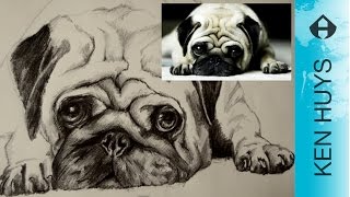 Hoe teken je een hond  How to draw a REAL dog English SUB [upl. by Luapnoj107]