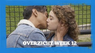 Overzicht week 12  Forever [upl. by Rockel247]