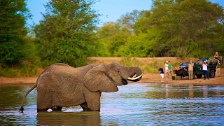 nThambo Tree Camp  Kruger Safari Lodge [upl. by Gilly463]