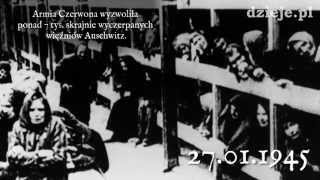 70 rocznica wyzwolenia niemieckiego obozu KL Auschwitz FOTOKAST [upl. by Bullis]