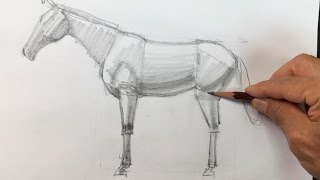 水彩画の基本〜馬を描くコツ前編 5分講座 How to draw a Horse 1  5MIN Watercolor Tips [upl. by Rednas]