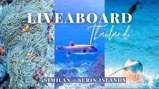 Similan Islands Thailand  An EPIC Diving Liveaboard [upl. by Seilenna]