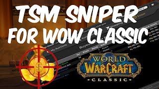 TSM 4 SNIPER for WoW CLASSIC Setup amp Sniping String [upl. by Doreen]